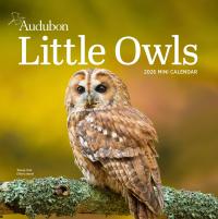 Audubon Little Owls Mini Wall Calendar 2026